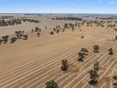 1830 Rowes Road, Dandaragan WA 6507