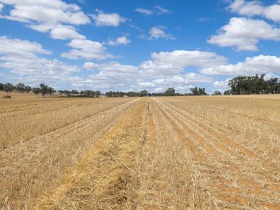 1830 Rowes Road, Dandaragan WA 6507