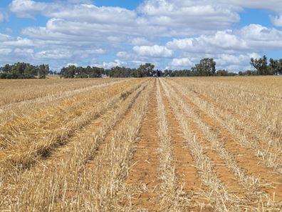 1830 Rowes Road, Dandaragan WA 6507