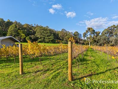 19 Loaring Road, Bickley WA 6076