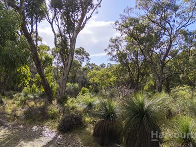 318 Karoborup Road, Carabooda WA 6033