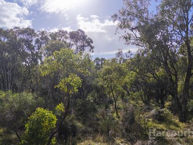 318 Karoborup Road, Carabooda WA 6033