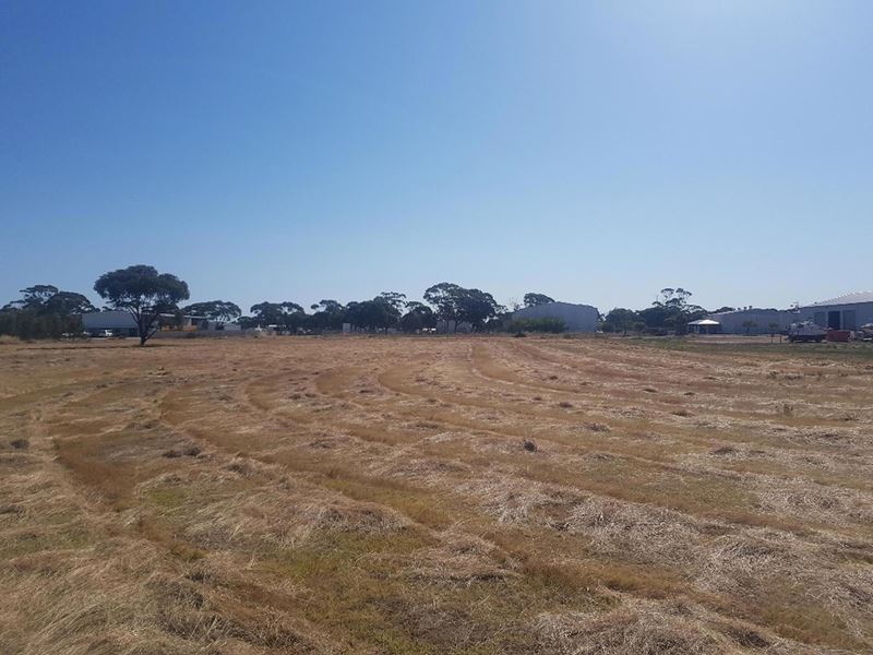 171 (L) RANFURLY Street, Moora WA 6510