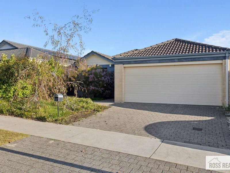 11 Teasel Way, Banksia Grove WA 6031