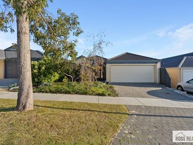 11 Teasel Way, Banksia Grove WA 6031