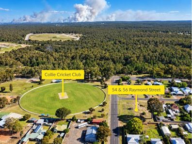 54 & 56 Raymond Street, Collie WA 6225