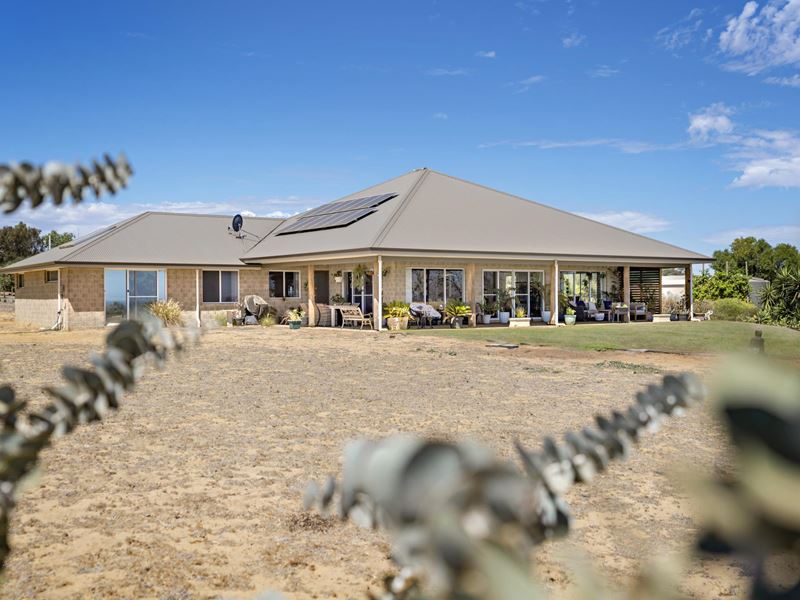 18 Dolbys Drive, Waggrakine WA 6530