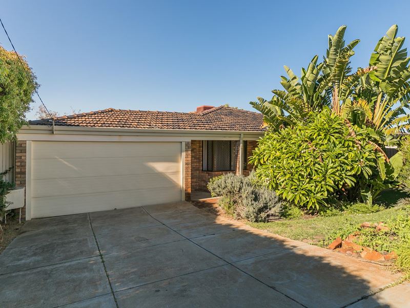 8 Karri Court, Yangebup