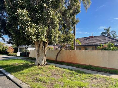 25 Daley Street, Yokine WA 6060