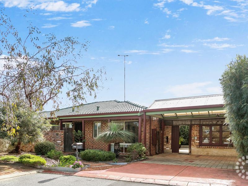 5 Tracey Mews, Hamilton Hill