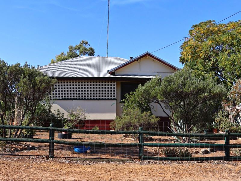 17 Martin Street, Wongan Hills