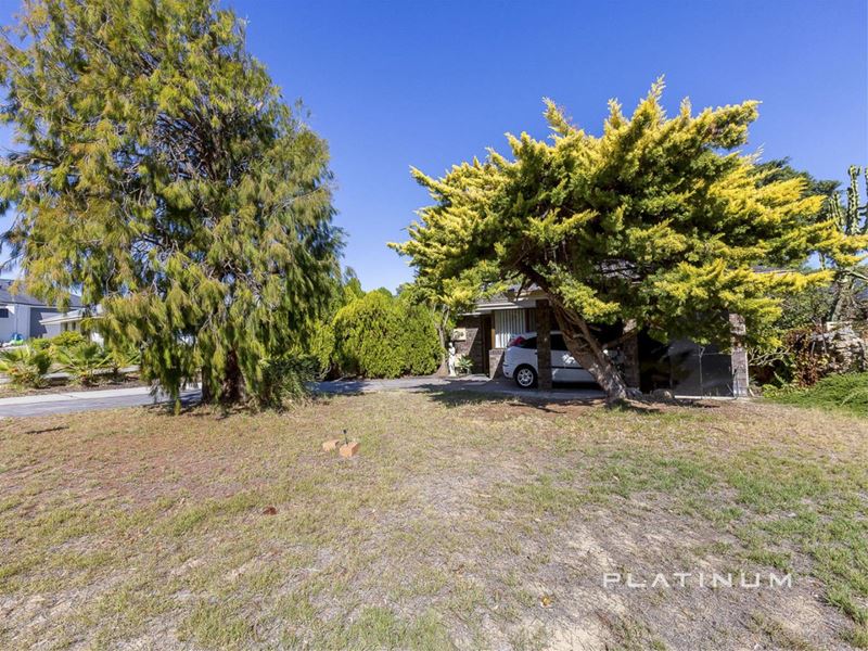 205 Camberwarra Drive, Craigie WA 6025