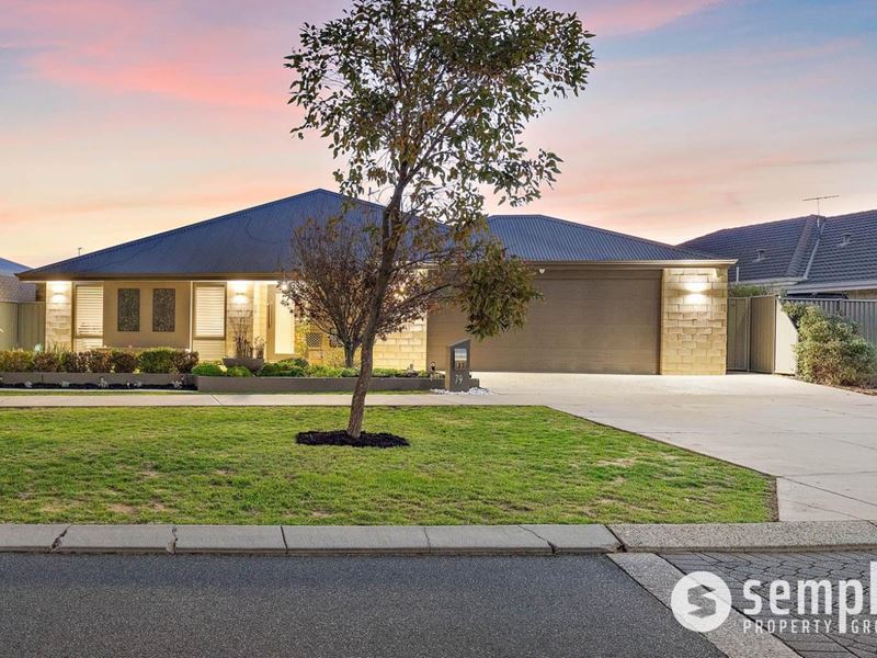 79 Honeywood Avenue, Wandi