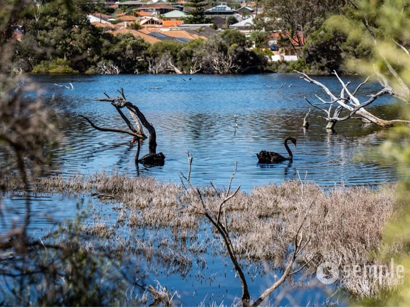 52A Fallow Crescent, Spearwood WA 6163