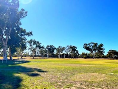 20 Valentine Street, Morawa WA 6623