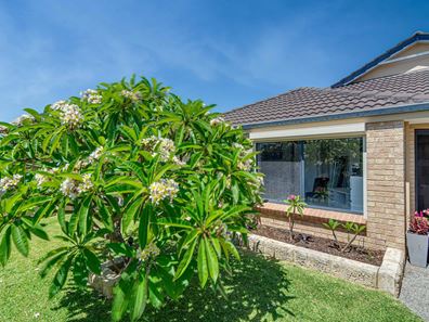 14 Staplehurst Crescent, Butler WA 6036