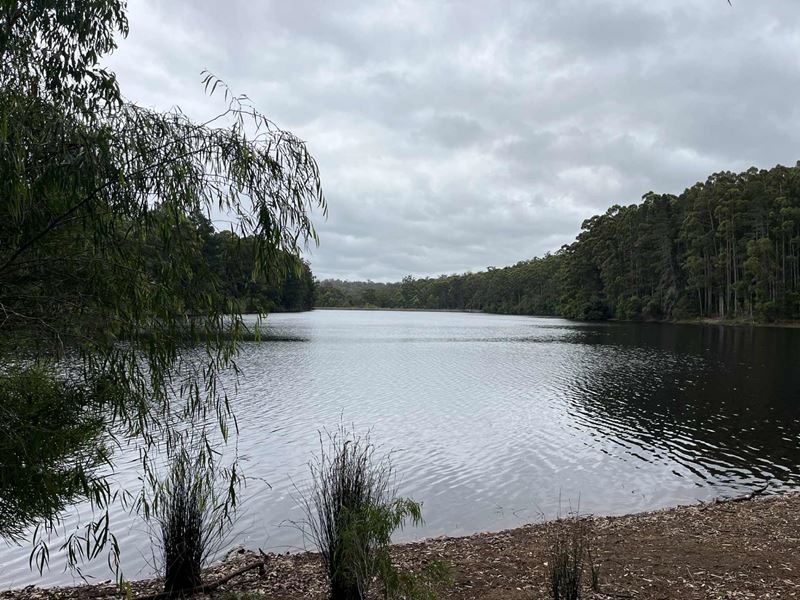 Lot 165,  Karri Lane, Quinninup