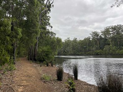 Lot 165,  Karri Lane, Quinninup WA 6258
