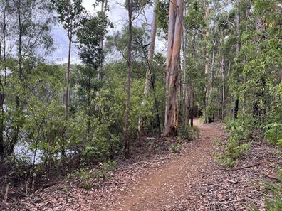 Lot 165,  Karri Lane, Quinninup WA 6258
