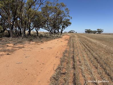 . 'Jurocken & Corrylyn', Dowerin WA 6461