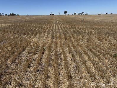 . 'Jurocken & Corrylyn', Dowerin WA 6461