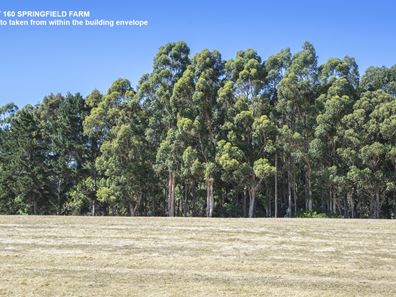 Lot 160,  Springfield Farm, Yallingup WA 6282