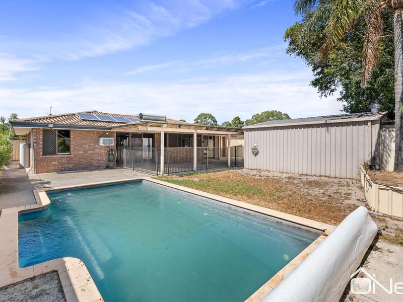 141 Braemore Street, Seville Grove WA 6112