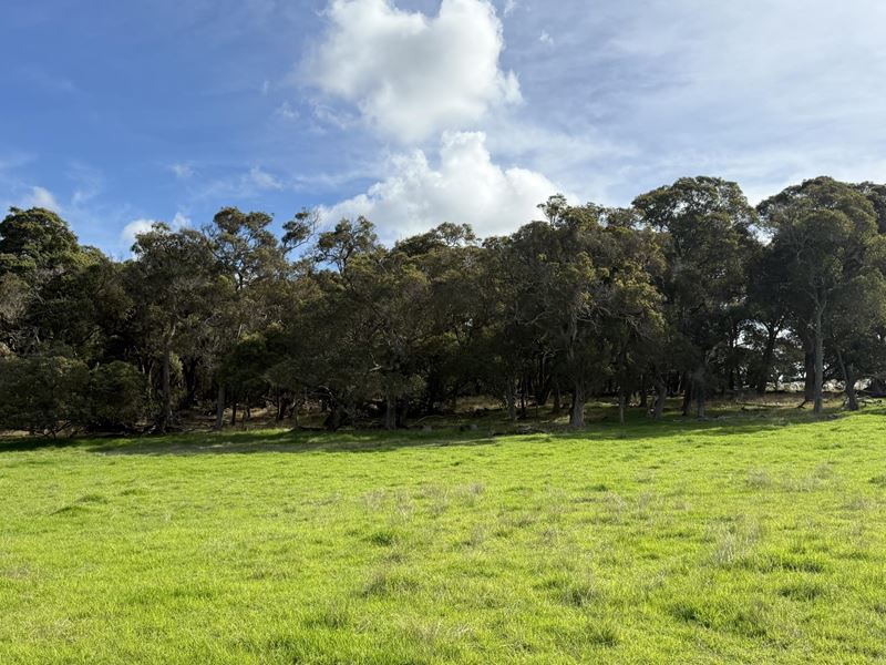 Lot 135, 238 Link Road, Marbelup WA 6330