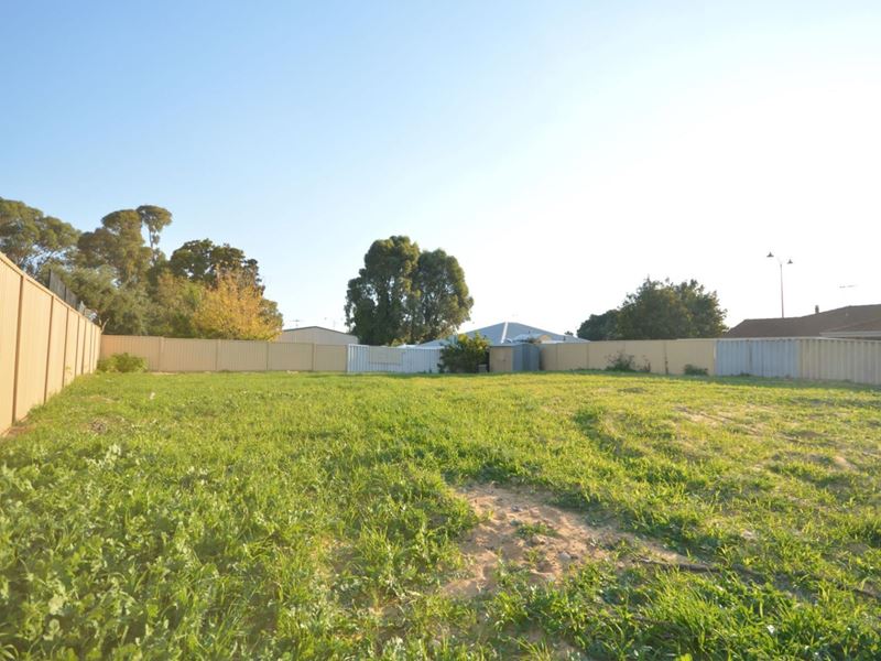 13 Bellbird Court, Greenfields