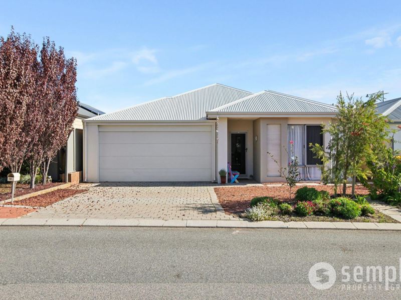 10 Tiliqua Crescent, Wandi WA 6167