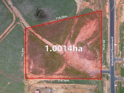 31 Wattlebird Boulevard, Chittering WA 6084