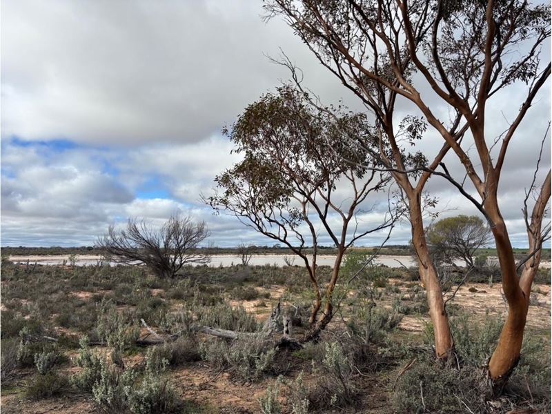 21 Goldfields Road (Baandee), Kellerberrin