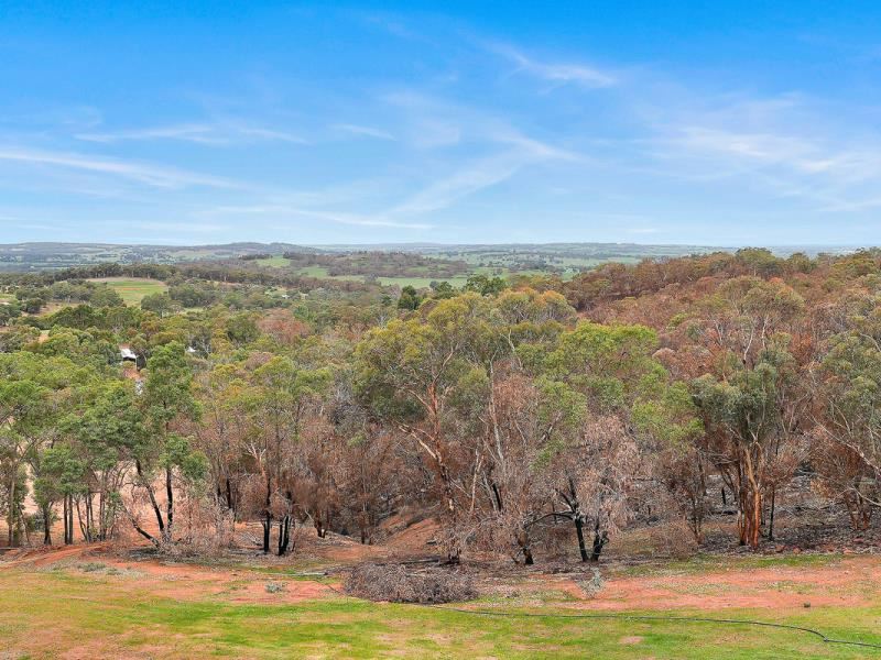 175 O'Connell Road, Wandering
