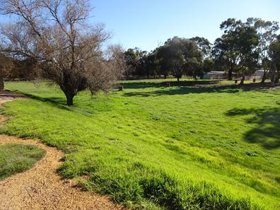 Lot 677 Havelock Street, Narrogin WA 6312