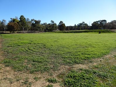 Lot 677 Havelock Street, Narrogin WA 6312