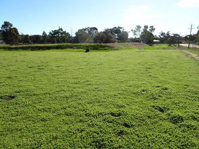 Lot 677 Havelock Street, Narrogin WA 6312