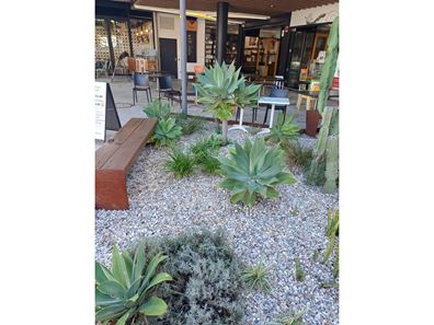 Food/Hospitality - Beautifully Presented Cafe / Coffee - Fremantle