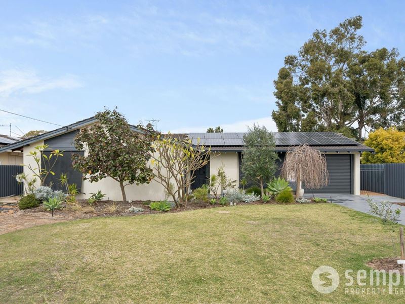 24 Celosia Way, Riverton WA 6148