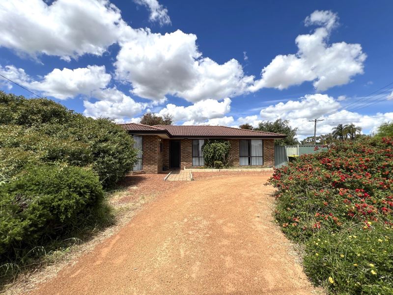17 Lorikeet Loop, High Wycombe WA 6057