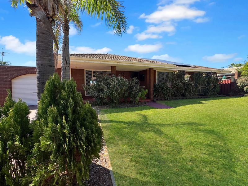 28 Hale Street, Rangeway WA 6530