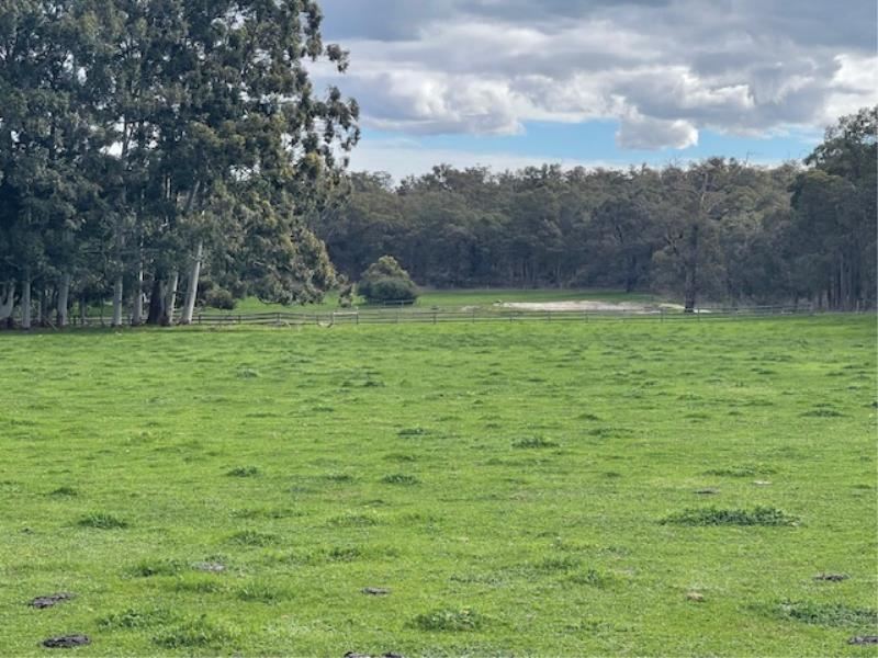 168 Scarp Road, Keysbrook