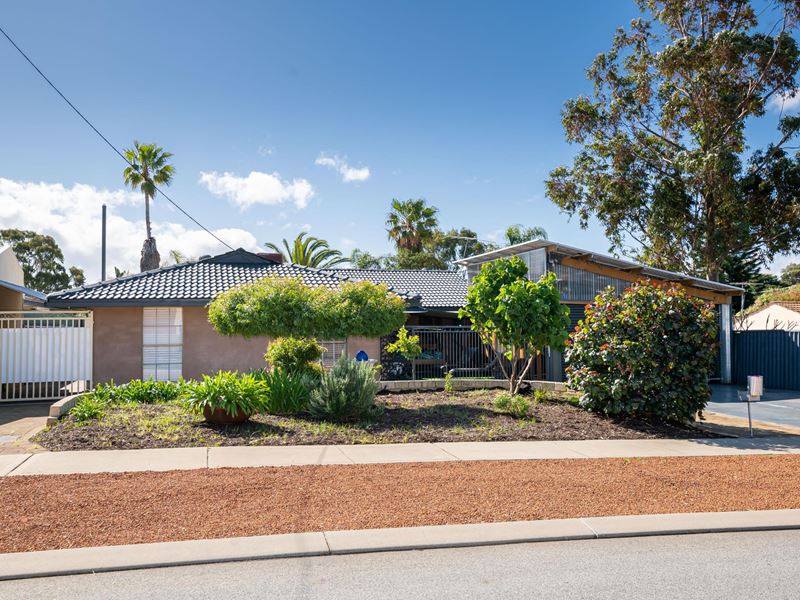 29 Fitzpatrick Way, Padbury