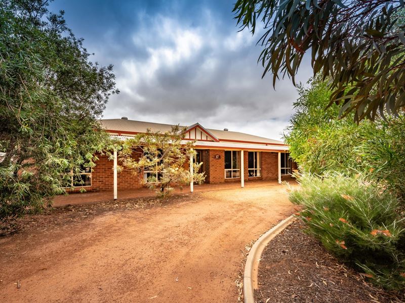 17 Brierley Court, Woorree