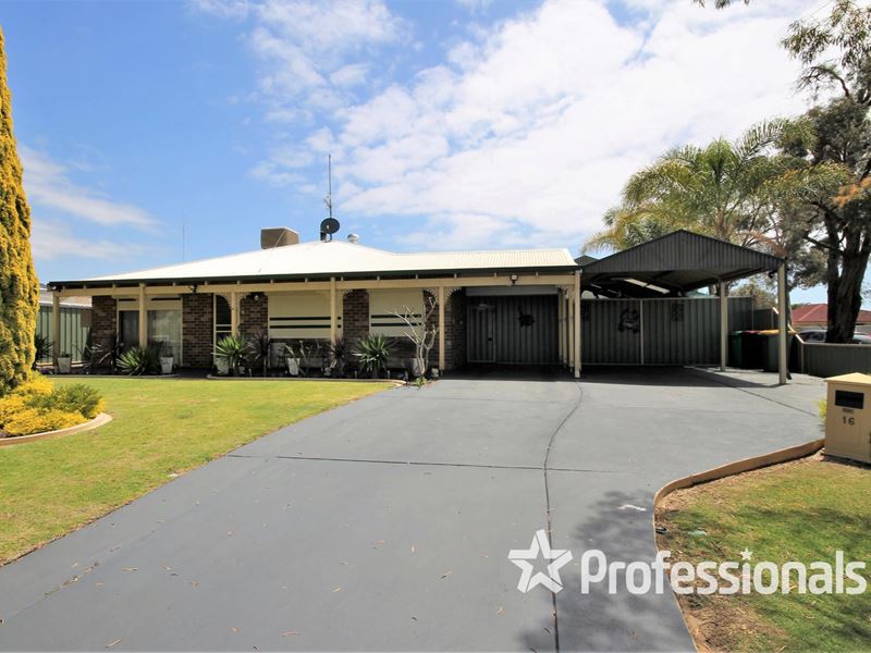 16 Orchid Drive, Glen Iris