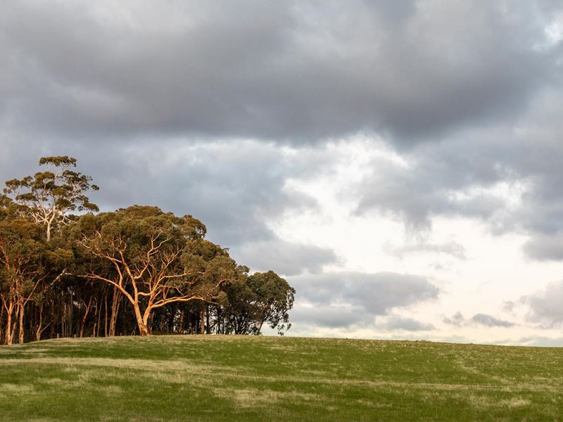 603 McGlew Road, Lower Chittering