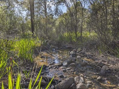 2060 Pechey Road, Swan View WA 6056