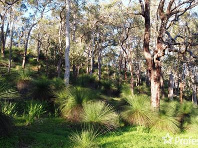 6C Crossing View, Byford WA 6122