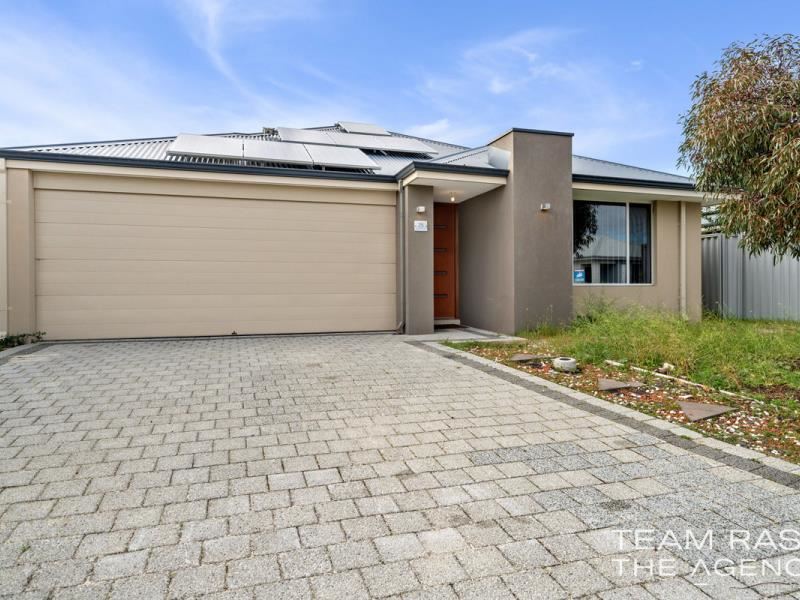25 Cardross Street, Brabham