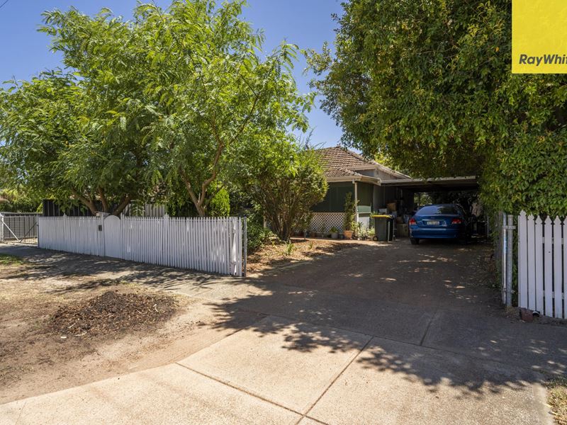 16 Wilkins Street, Bellevue