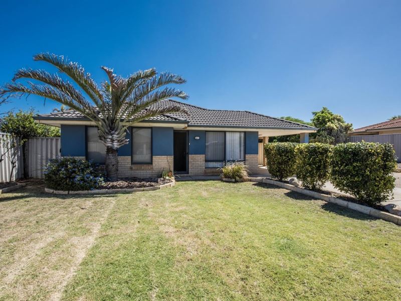 25 Mark Way, Wandina